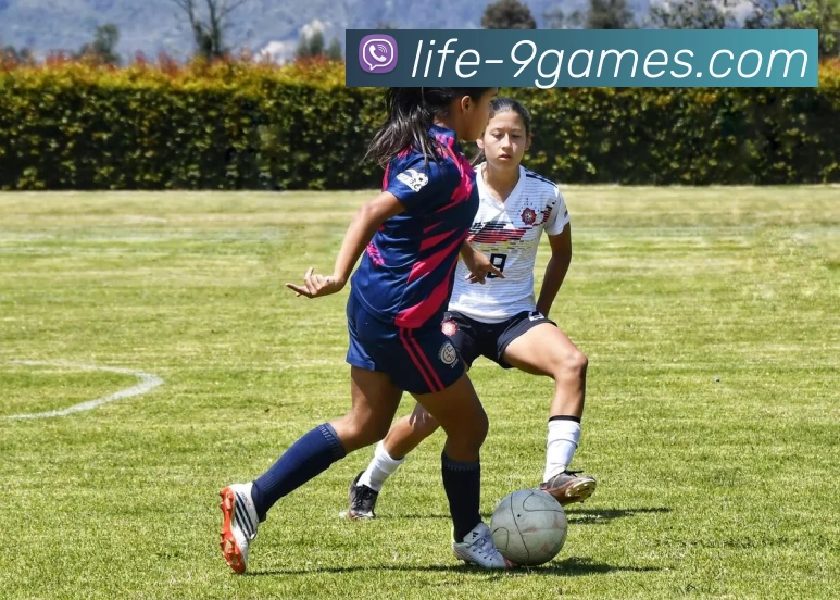 J9九游会官网发展历程